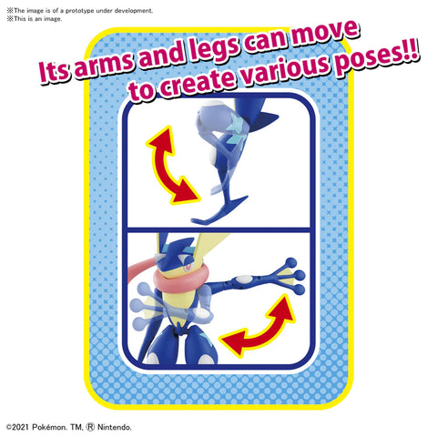 Pokemon : Greninja / Amphinobi Pokemon : Greninja / Amphinobi