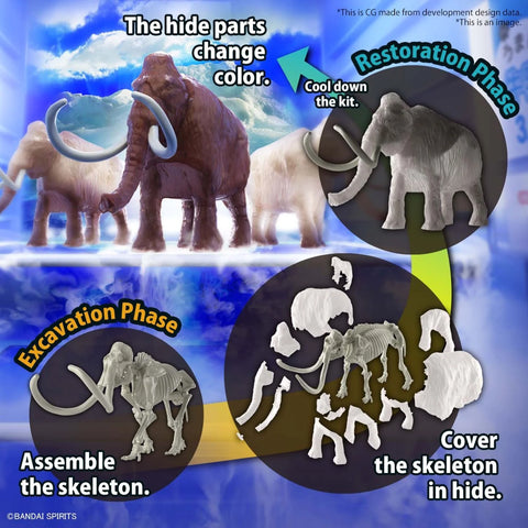 Exploring Lab Nature : Mammoth