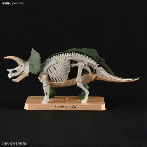 Plannosaurus : 02 Triceratops