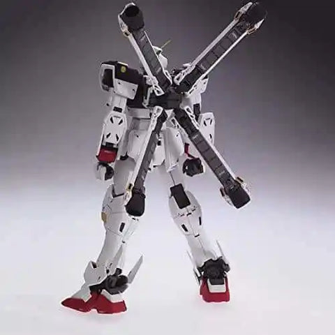 Bandai MG 1/100 : XM-X1  Crossbone Gundam X1 Ver.KA