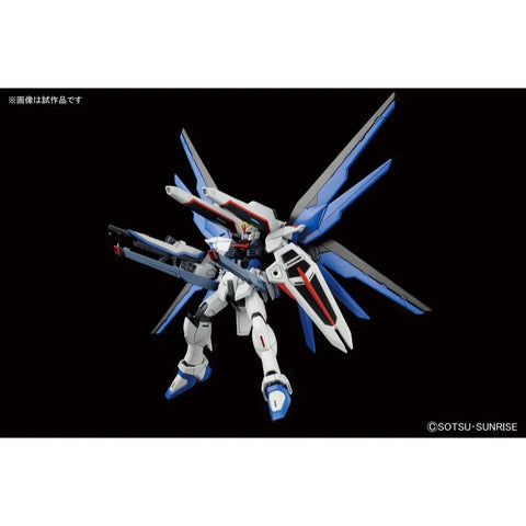 HG 1/144 ZGMF-X10A Freedom Gundam (Z.A.F.T. Mobile Suit)