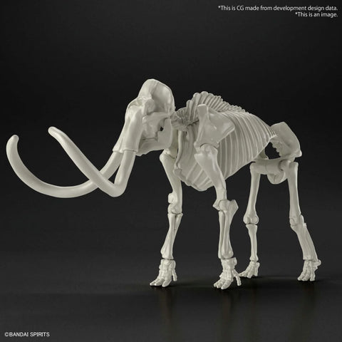 Exploring Lab Nature : Mammoth