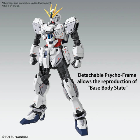 Bandai MG 1/100 : RX-9/C Narrative Gundam C-Packs Ver.Ka