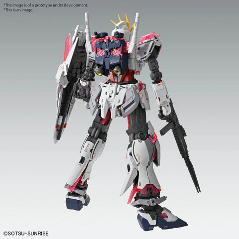 Bandai MG 1/100 : RX-9/C Narrative Gundam C-Packs Ver.Ka