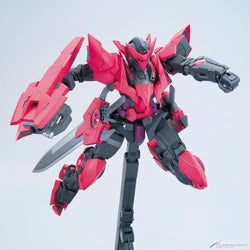 Bandai MG 1/100 PPGN-001 : Gundam Exia Dark Matter ( PPse Works Custom )