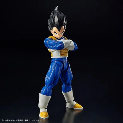 Dragon Ball Z : Vegeta (New Spce Ver.)