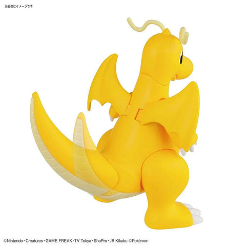 Bandai Pokemon Model Kit : Charizard & Dragonite