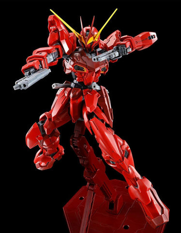 P-Bandai MG 1/100 : RGX-00 Testament Gundam [ O.M.N.I. Enforcer Mobile Suit ]