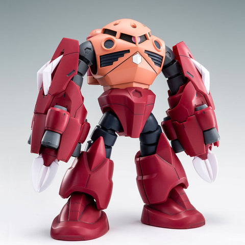 HG 1/144 Amazing Z'gok Meijin Kawaguchi's Mobile Suit P-Bandai